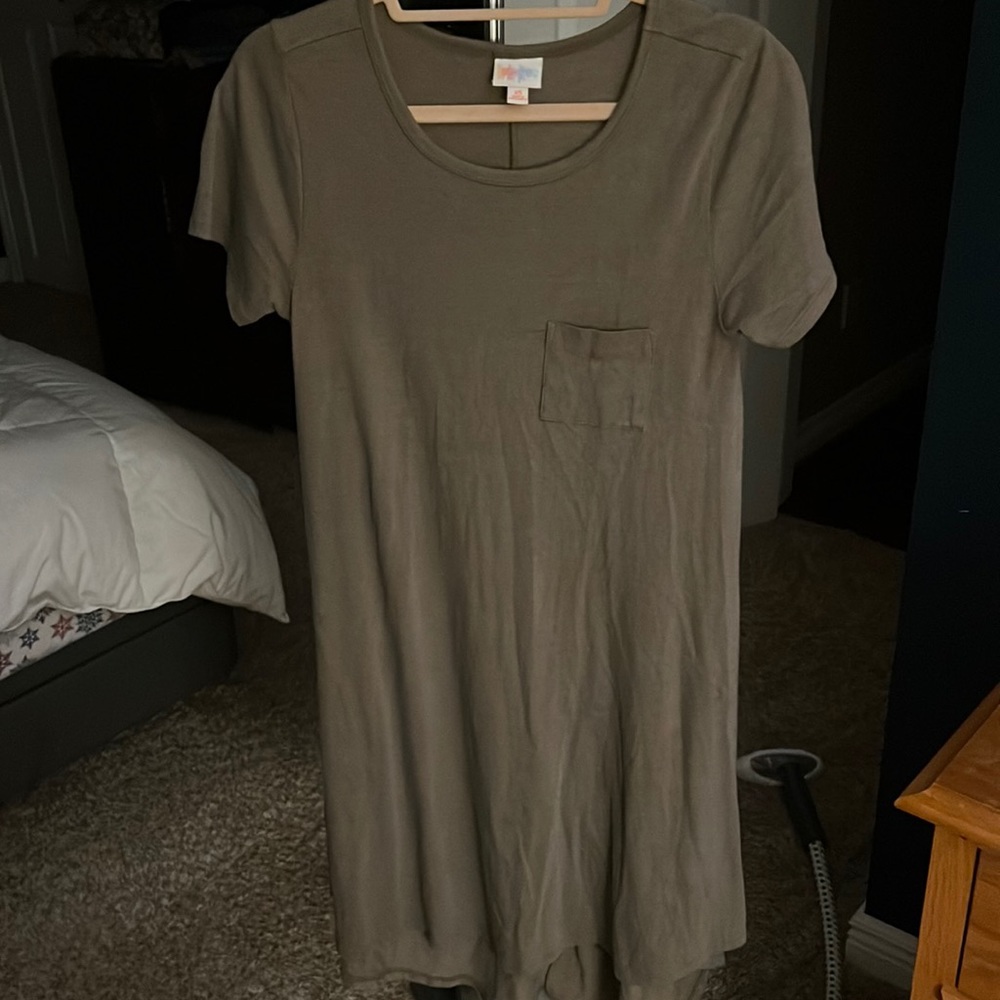 Lularoe t shirt Carly dress